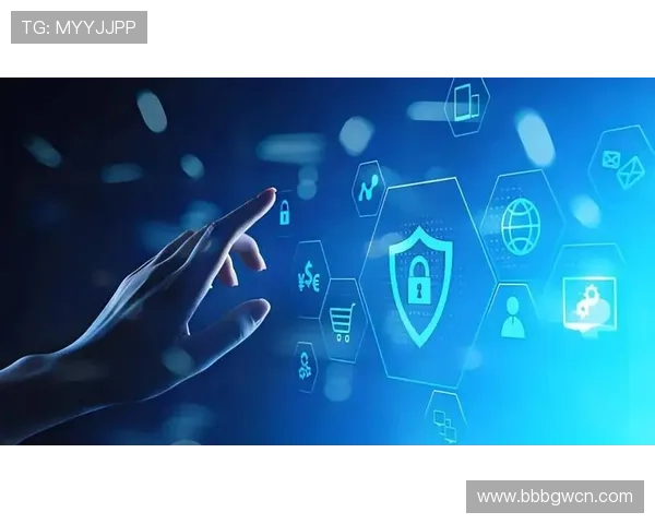 必赢备用平台多重防护体系，全面提升用户账户的安全性和隐私保护