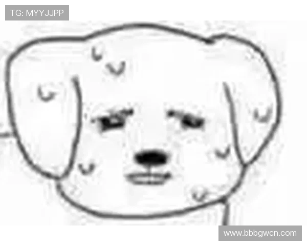 摩卡娱乐在线：用户评价与平台信誉全面分析